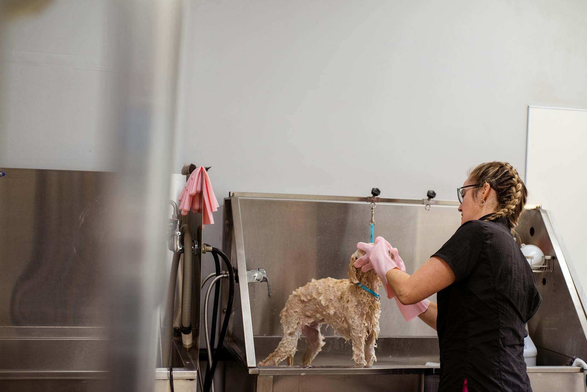 Groomer kąpie małego psa w salonie jako element pielęgnacji alergika
