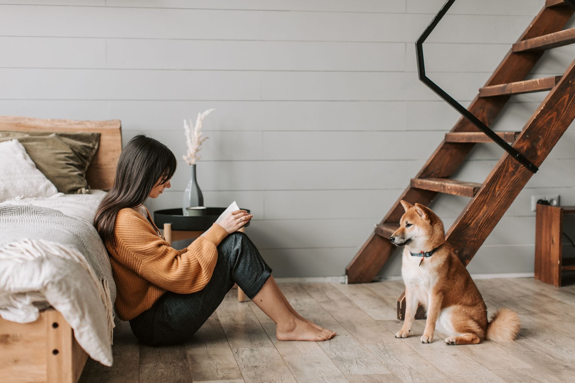 Kobieta czyta książkę na kanapie obok psa rasy shiba inu